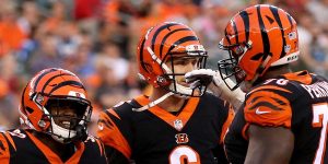 Cincinnati Bengals