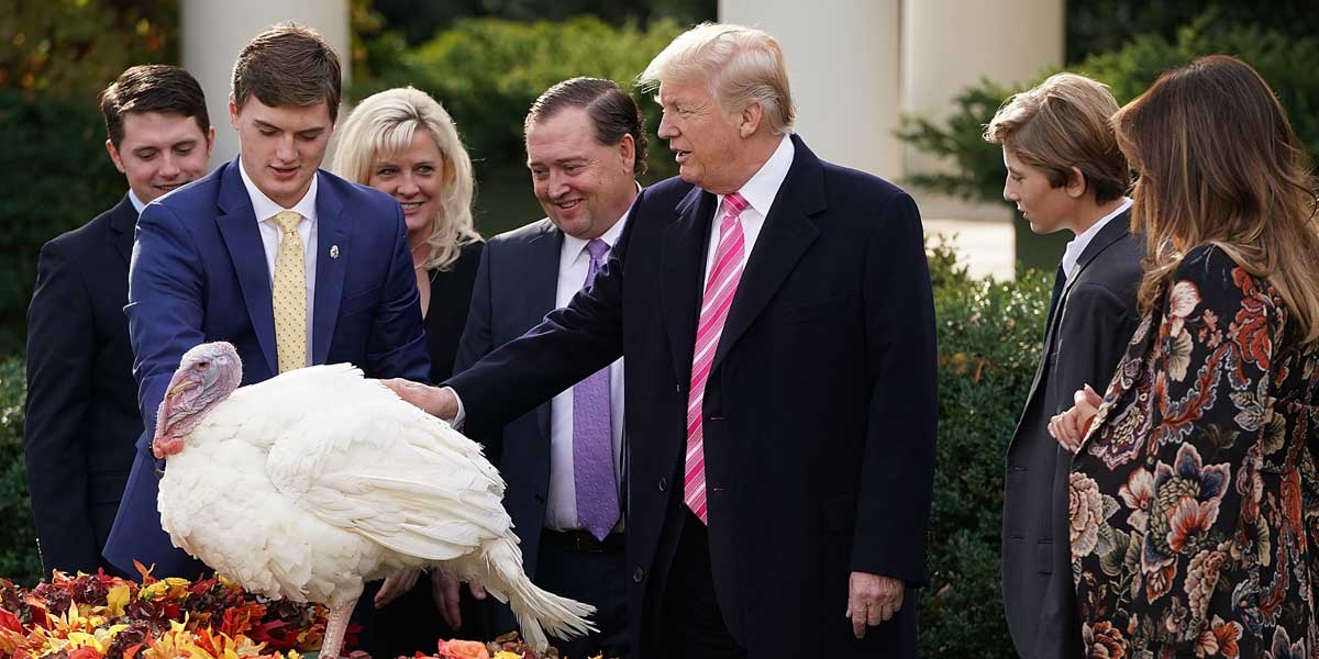 Will Trump Pardon A Turkey?