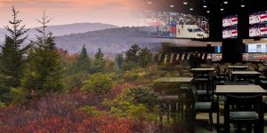 The Sportsbooks Of West Virginia