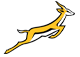 Springboks Logo