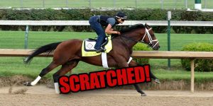 Art Collector Scratched