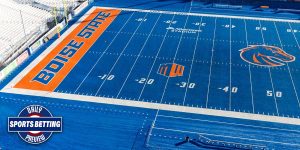 Boise State Football Field