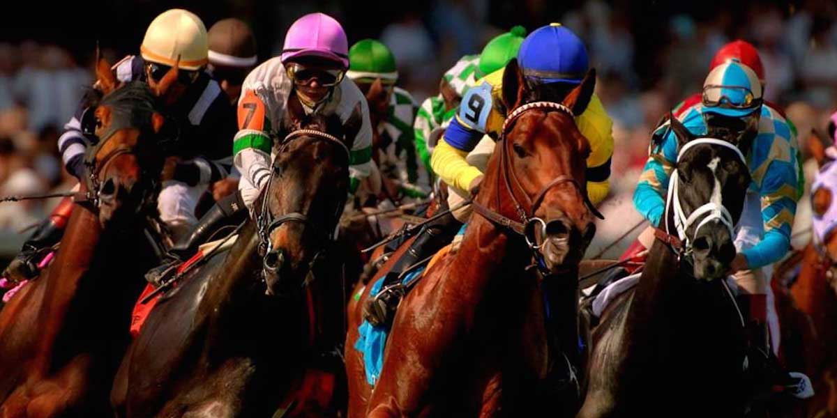 derby horse betting