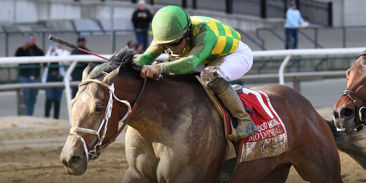 Mo Donegal, Rich Strike Early Favorites To Win Belmont Stakes